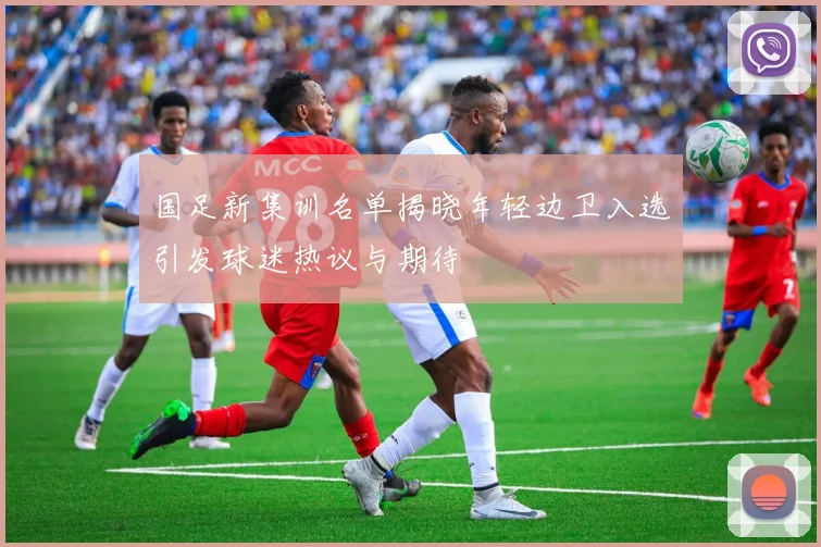 国足新集训名单揭晓年轻边卫入选引发球迷热议与期待