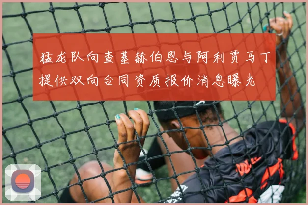 猛龙队向查基赫伯恩与阿利贾马丁提供双向合同资质报价消息曝光