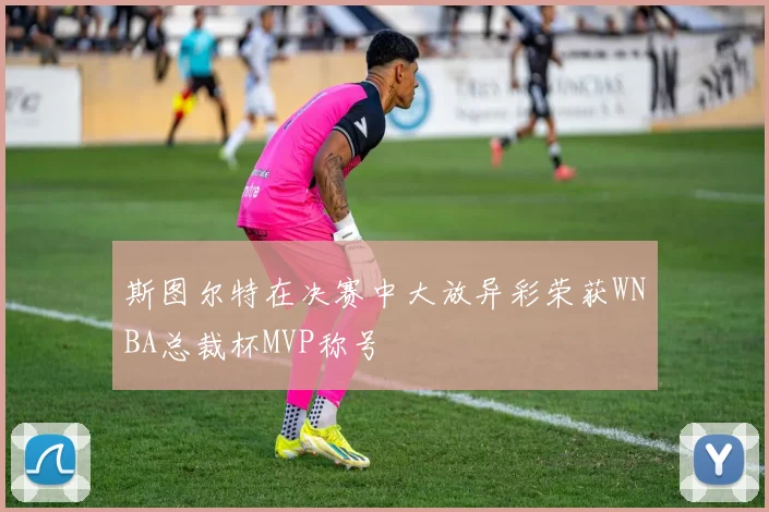 斯图尔特在决赛中大放异彩荣获WNBA总裁杯MVP称号